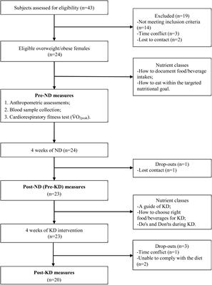 Short-Term Ketogenic Diet Improves Abdominal Obesity in Overweight/Obese Chinese Young Females